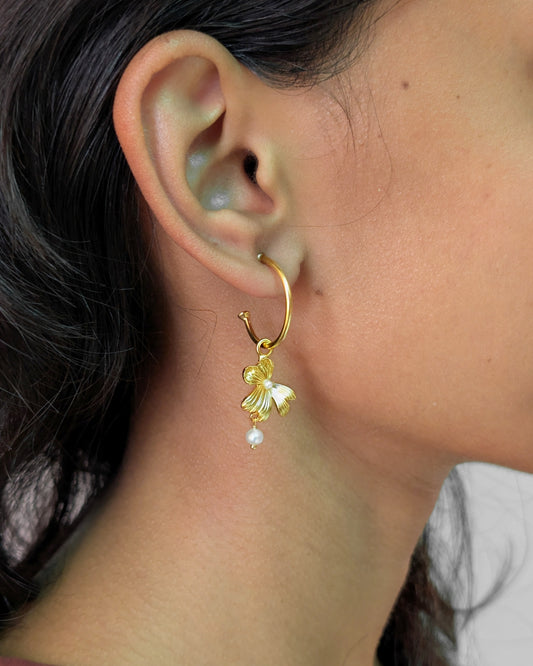 Aboli Hoops