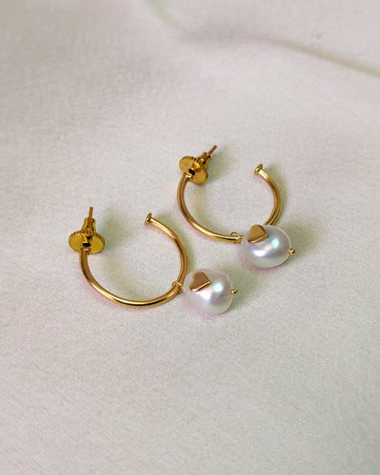 Tarini Hoops