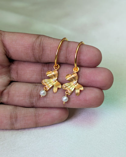 Aboli Hoops
