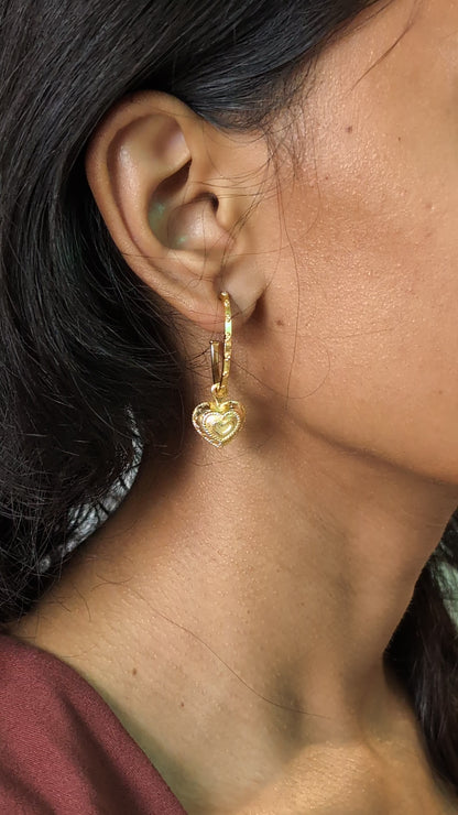 Dilbara Hoops